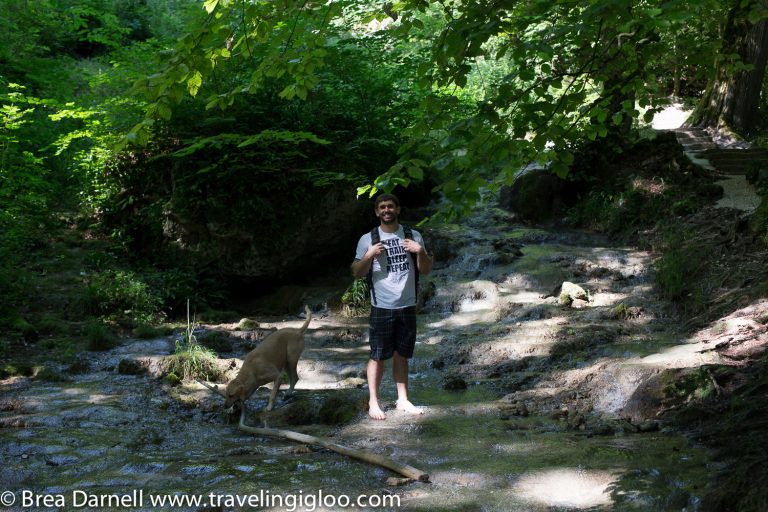 A Day Trip To Bad Urach Waterfall from Stuttgart