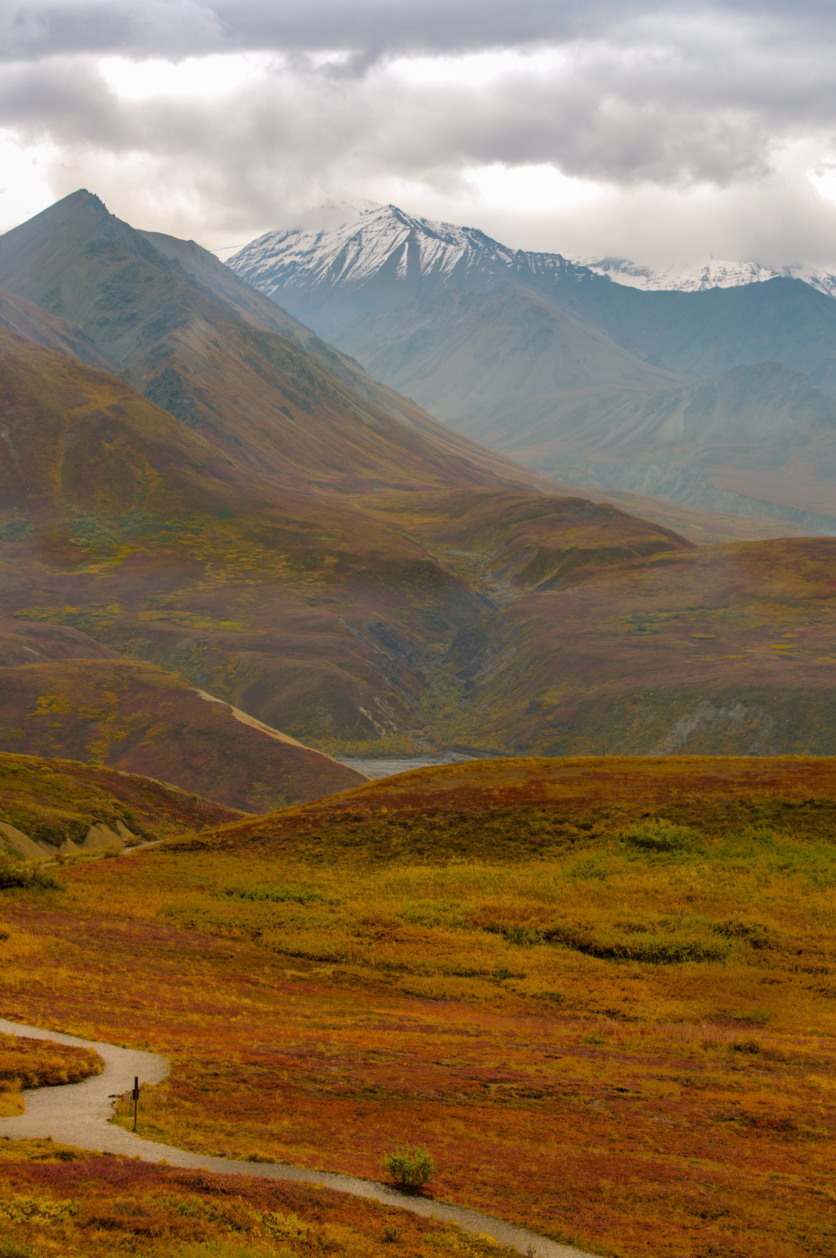 Denali National Park