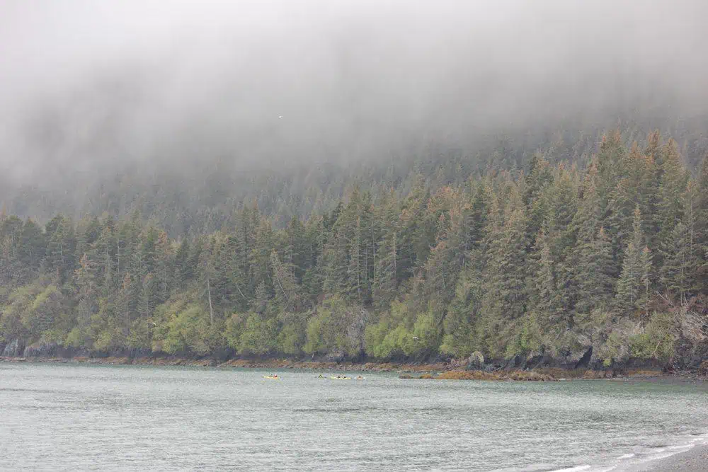 Seward Alaska Kayaking