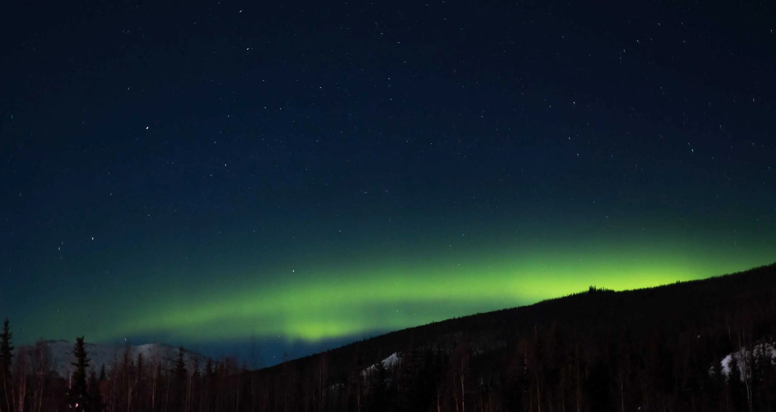 chena hot springs visit