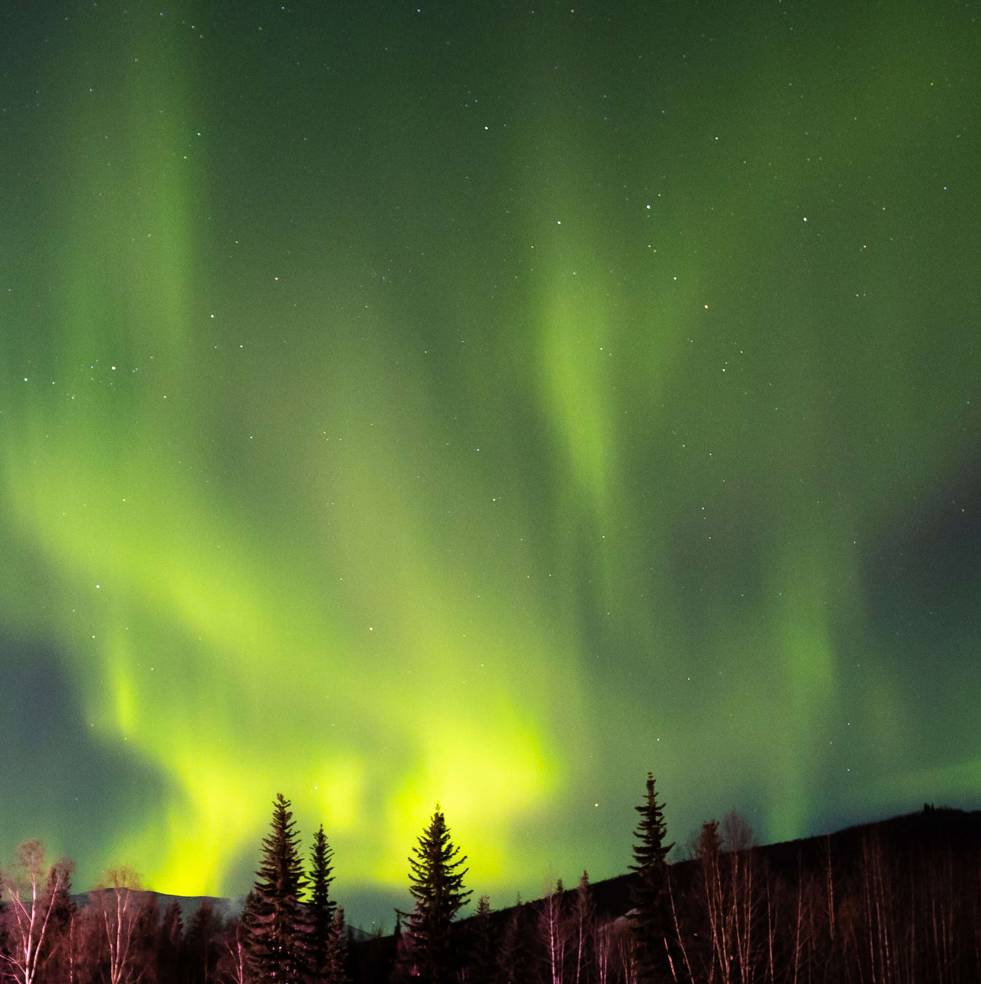 Northern Lights Fairbanks Chena Hot Springs Alaska