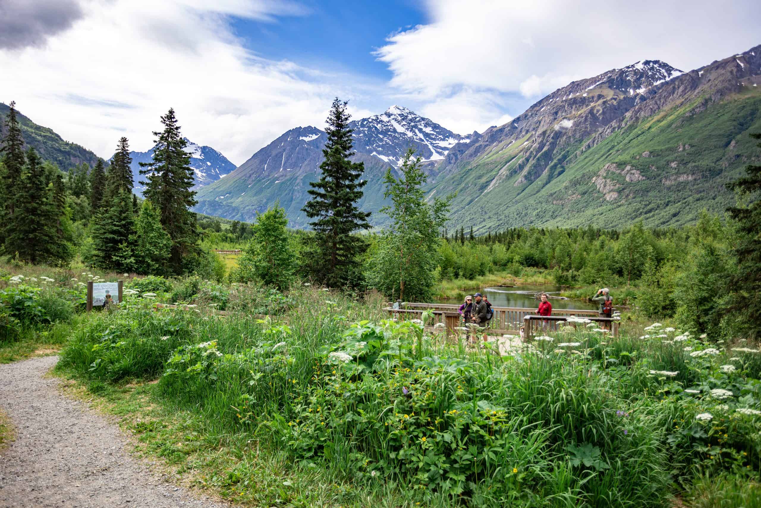 Eagle River Nature Center Overlook wetlands summer alaska