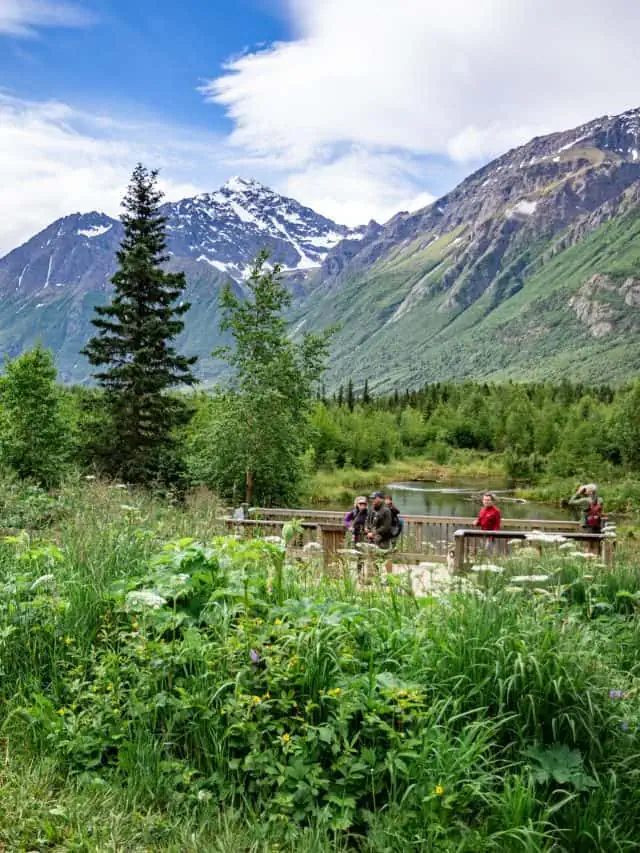 The Perfect 10 Day Alaska Road Trip + Itinerary