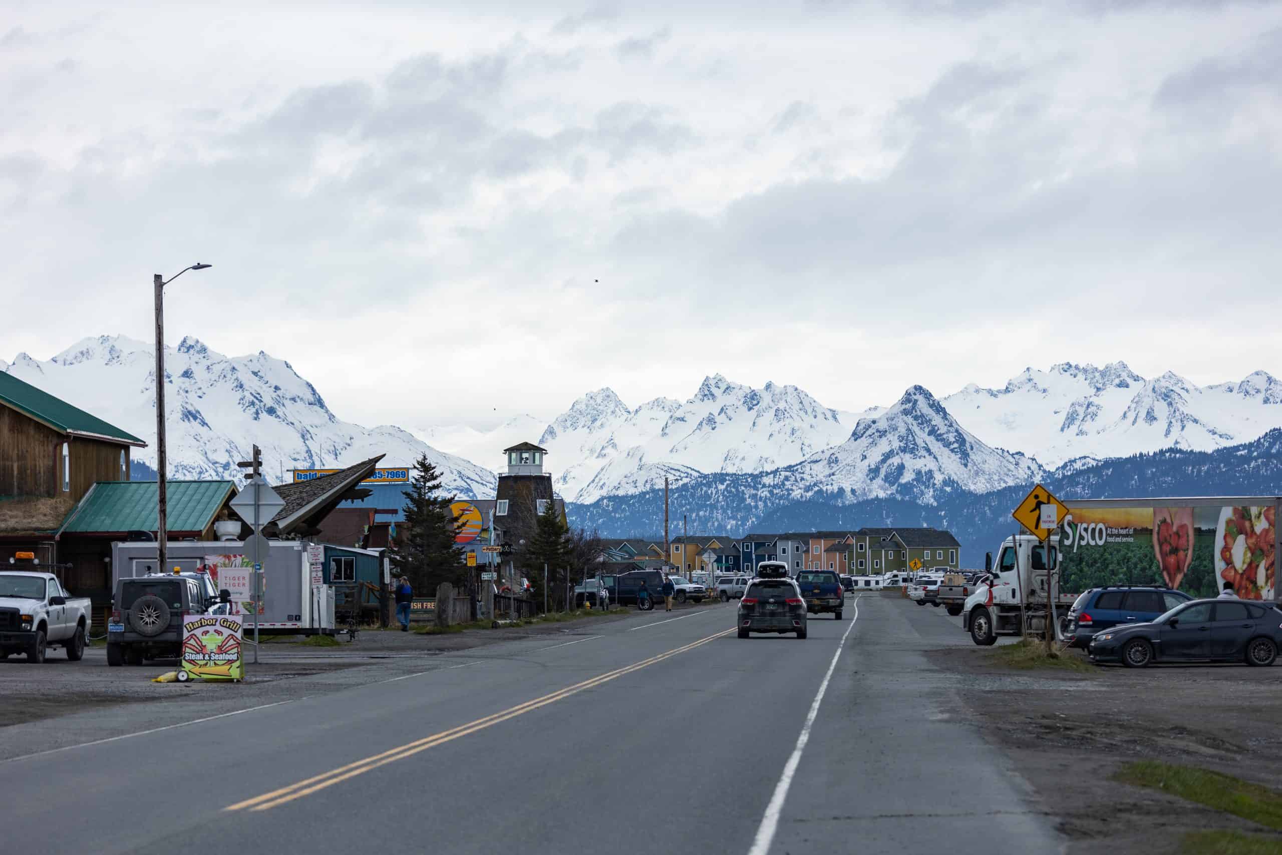 The Only Anchorage to Homer Driving Guide You'll Need -