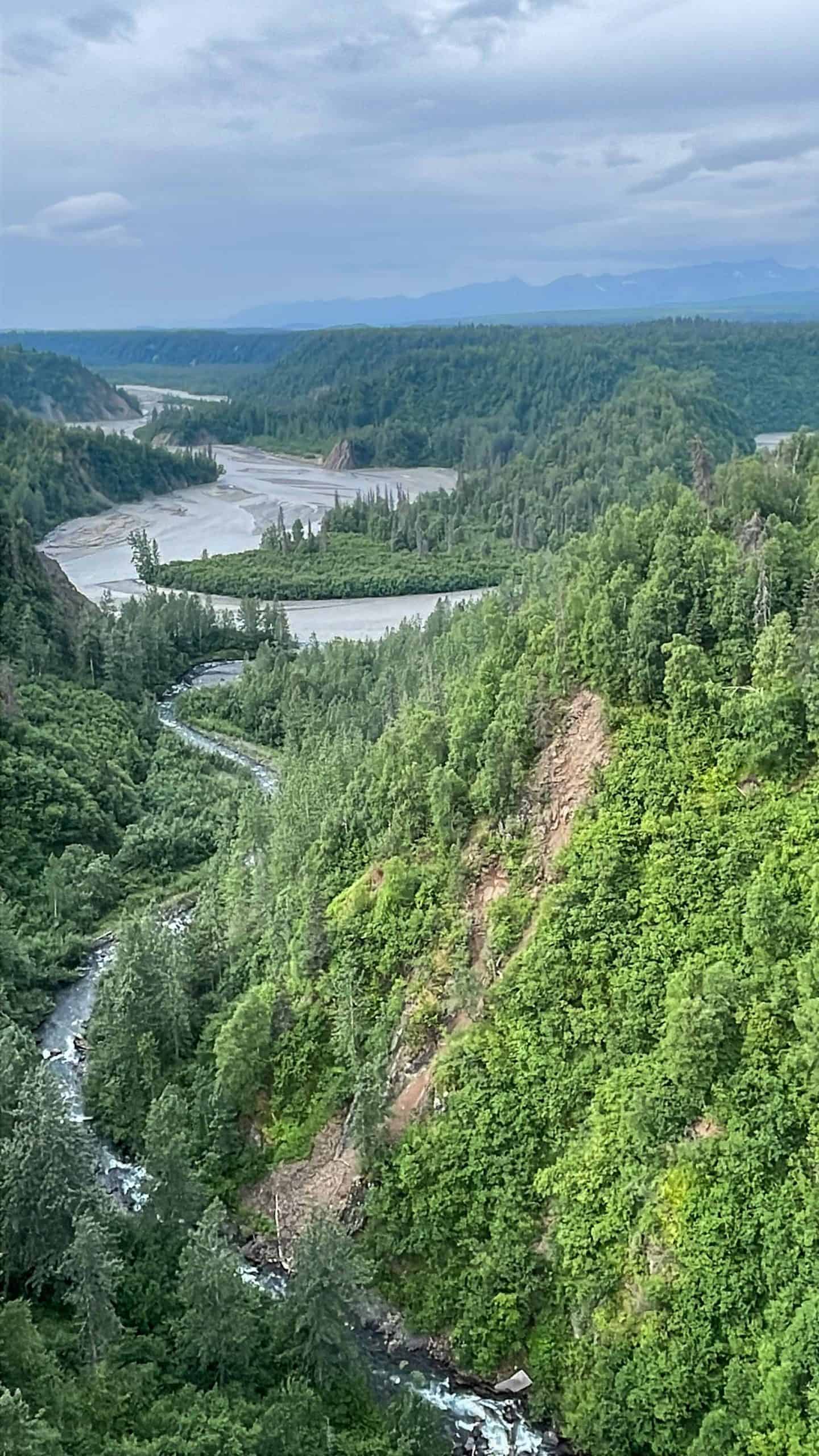 princess cruises train tour alaska railroad