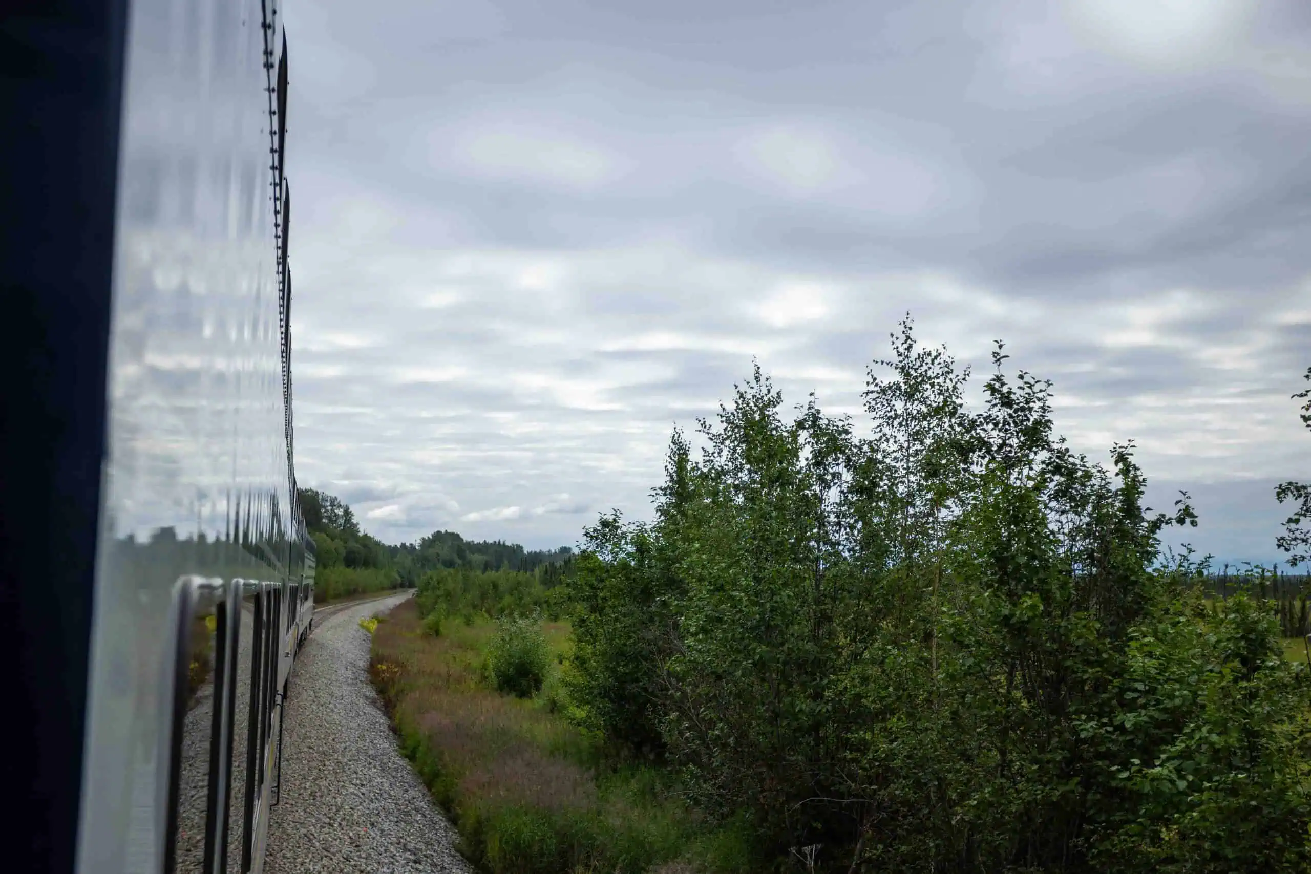 princess alaska cruise rail