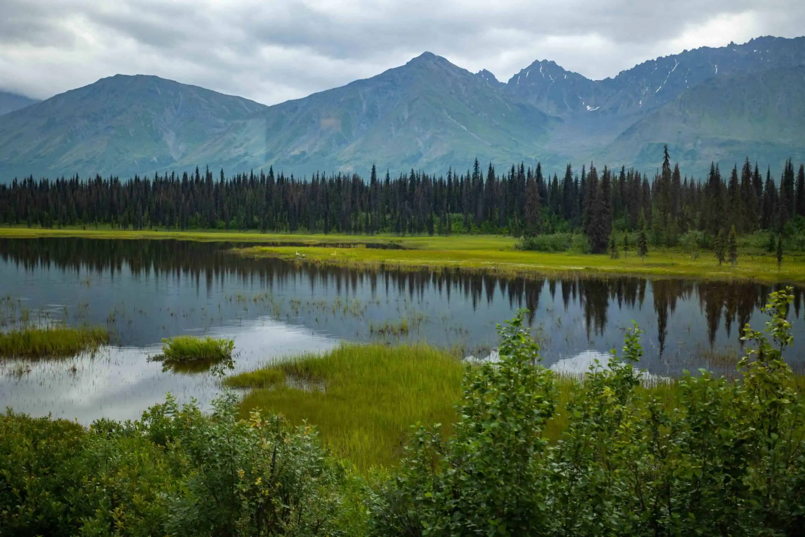 princess alaska cruise rail