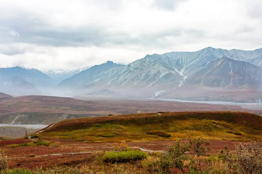 Inside Denali National Park fall red hues pretty Alaska